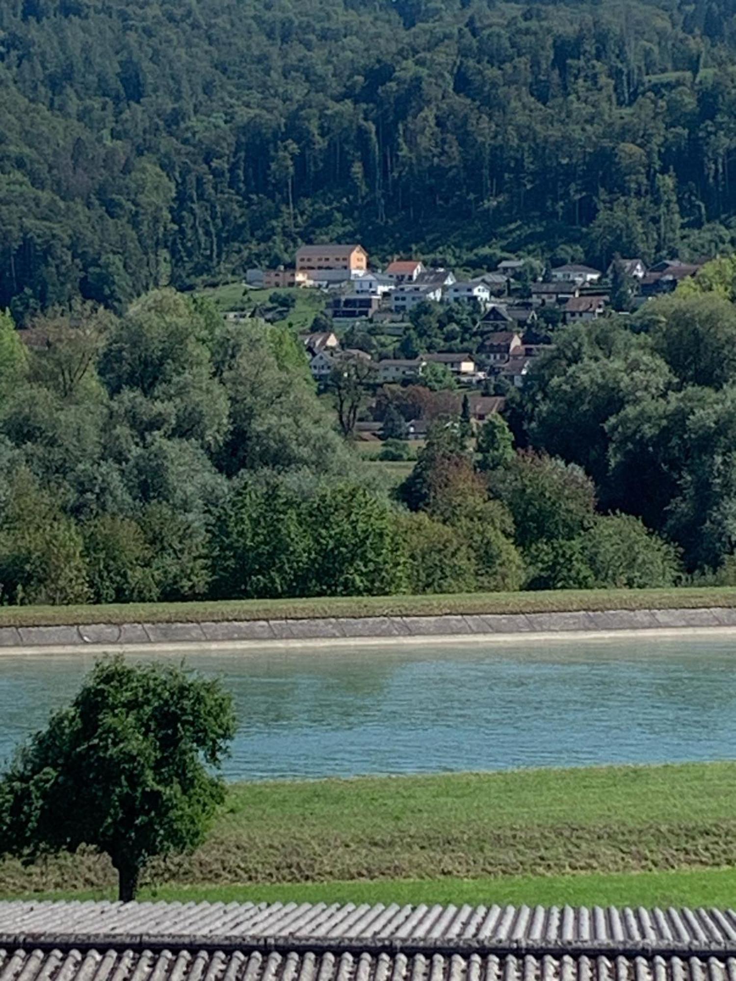 Hochrhein Ferienwohnung 阿尔布鲁克 外观 照片