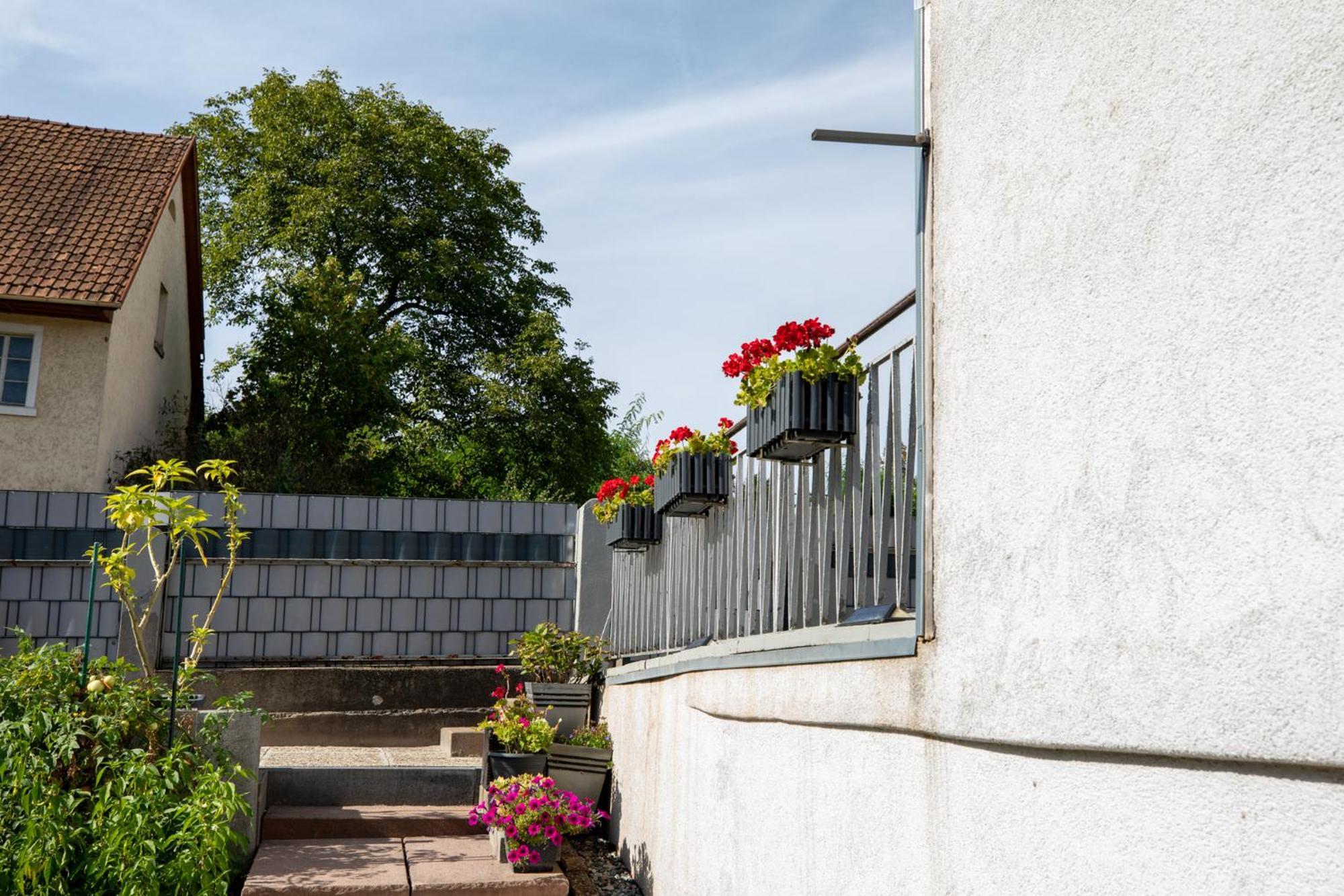 Hochrhein Ferienwohnung 阿尔布鲁克 外观 照片